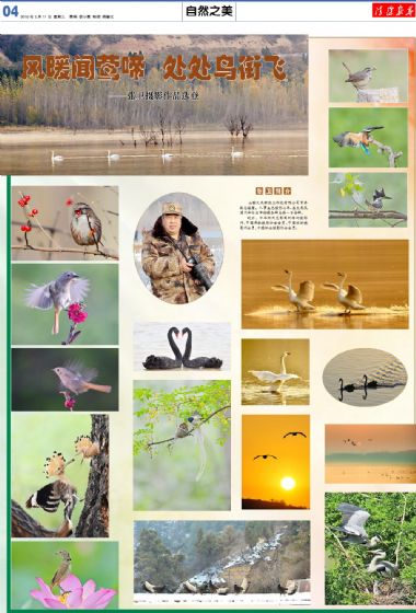 A4:自然*之美