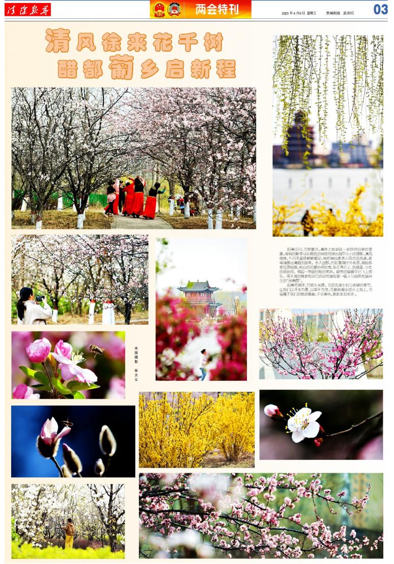 A3版:两会*特刊